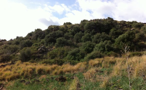 AREA DELLA GAZZENA