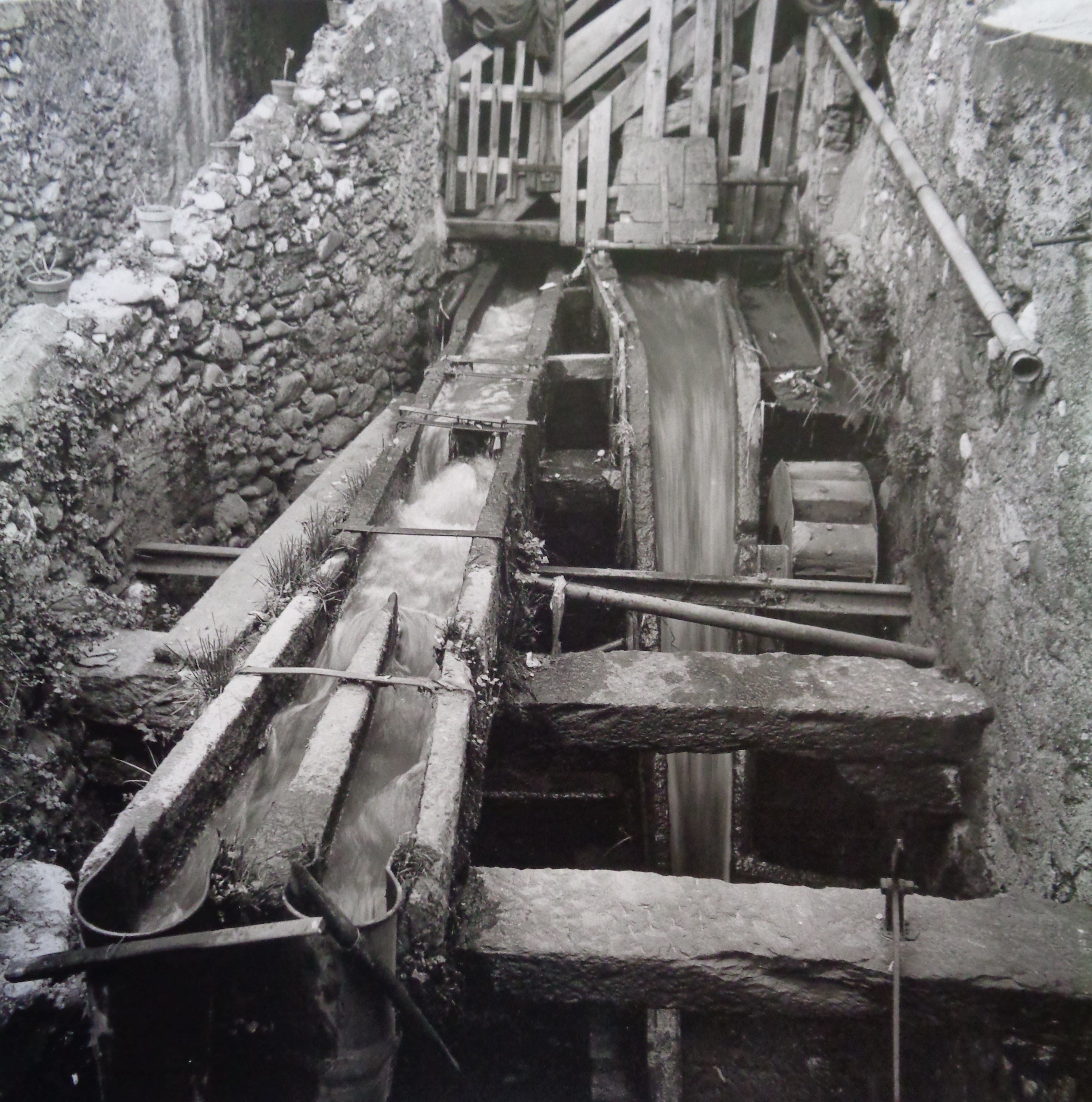 MAGLIO DELLA PANIGADA - LECCO