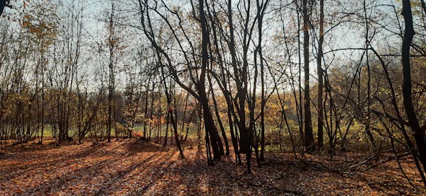PARCO DEL ROCCOLO