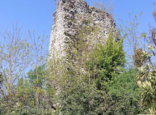 TORRE DI TREVISAGO