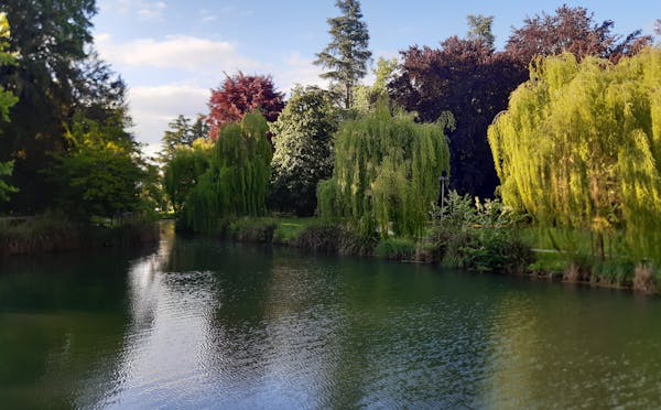 PARCO VILLA IMPERIALE A GALLIERA
