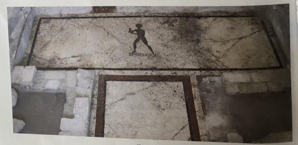 IL MOSAICO ELLENISTICO DI SAN FRANCESCO