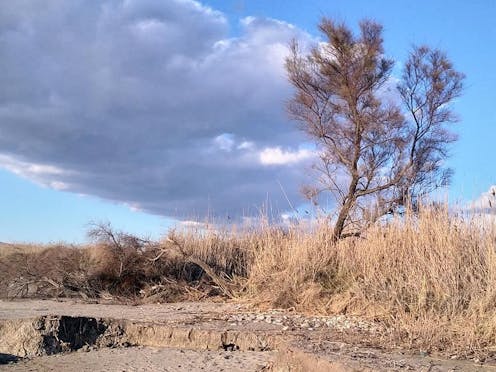 LA PALUDE DI TORRE FLAVIA