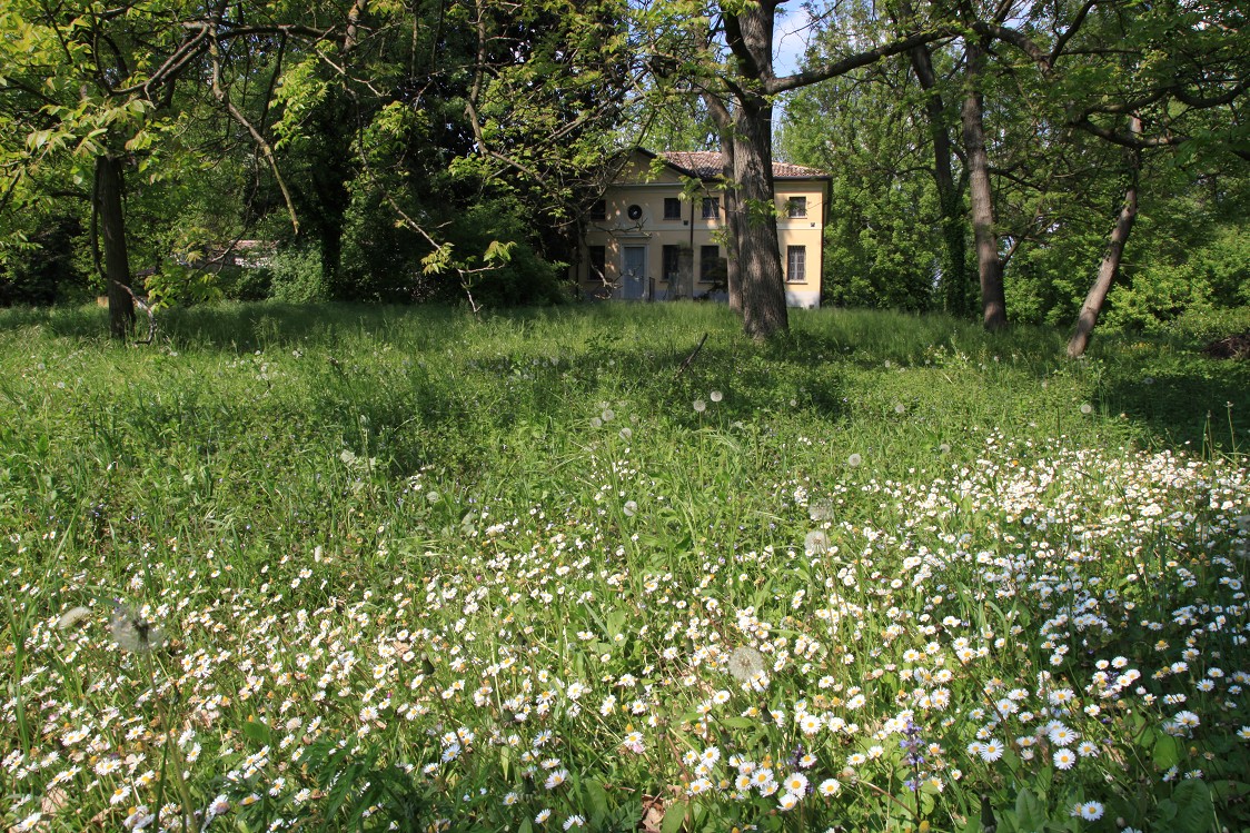 RISERVA NATURALE ISOLA BOSCHINA