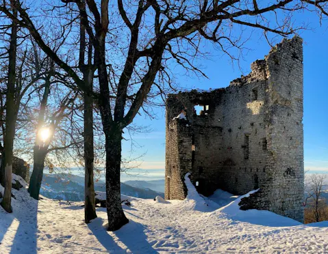 CASTELLO DI SORLI