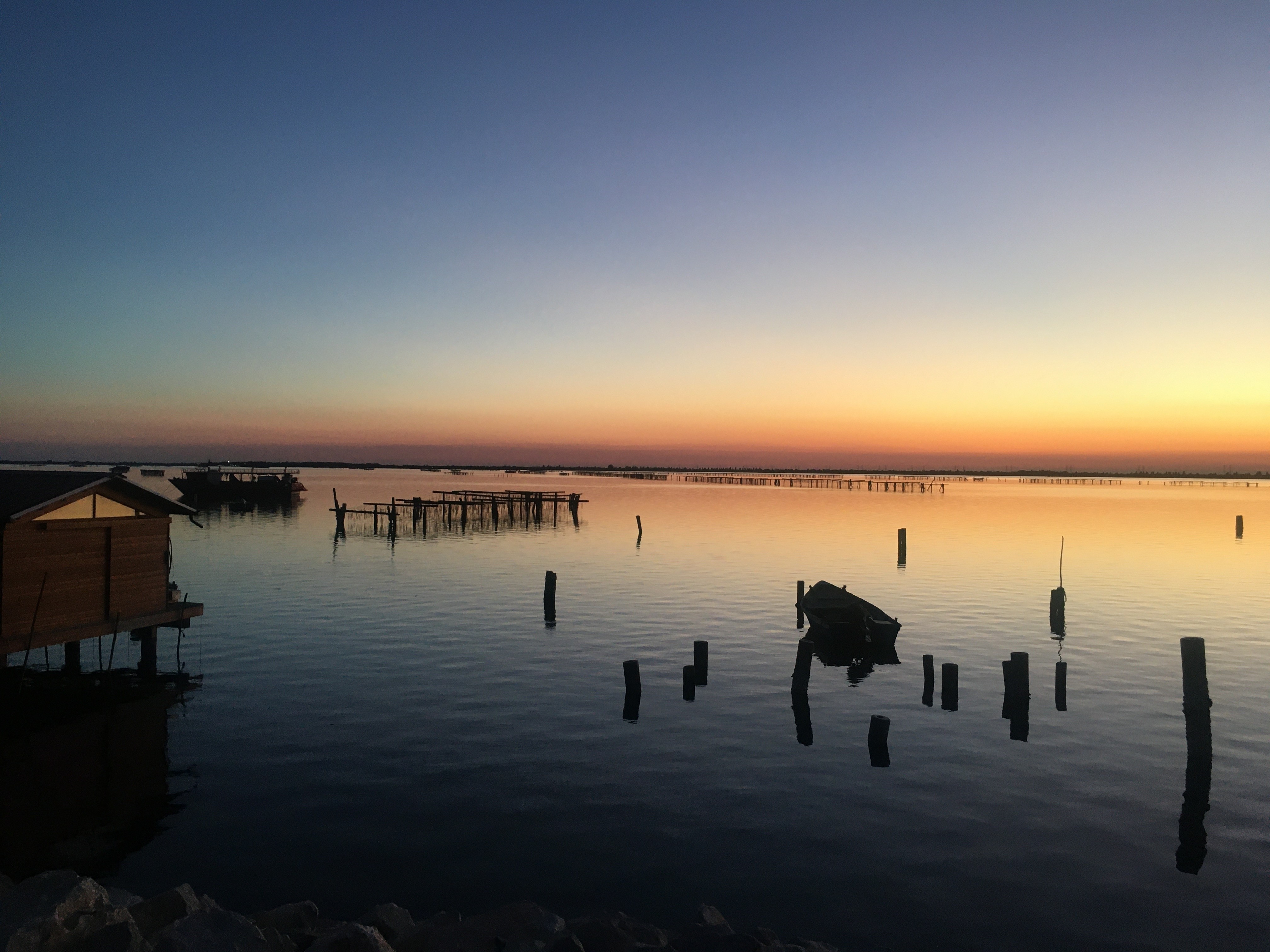 SACCA DI SCARDOVARI I Luoghi del Cuore FAI