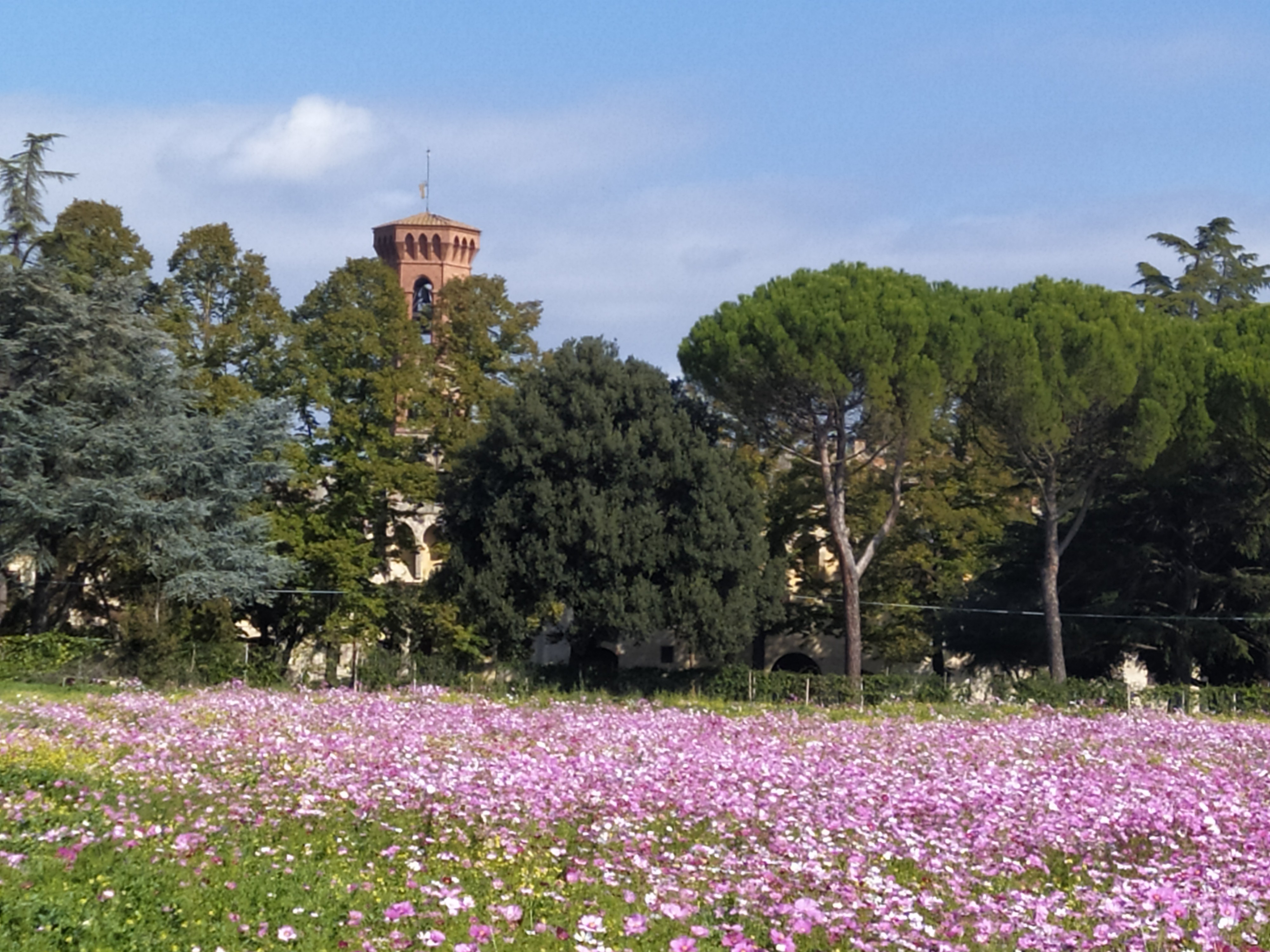 BADIA DI S. SALVATORE E S. LORENZO A SETTIMO
