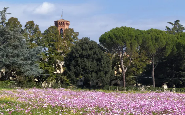 BADIA DI S. SALVATORE E S. LORENZO A SETTIMO