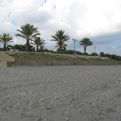 POLICORO
