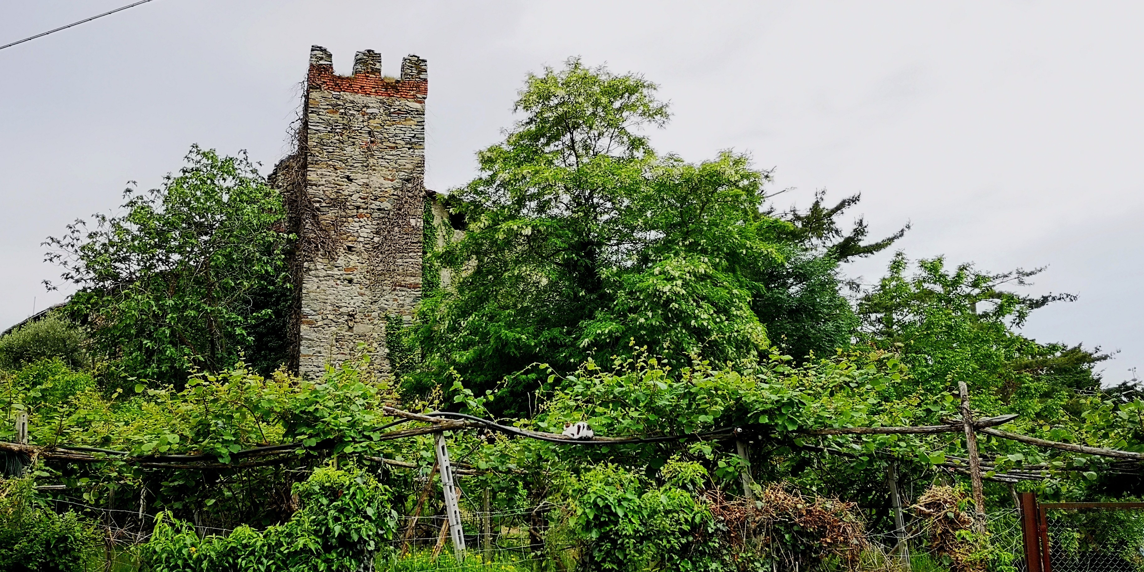 CASTELLO DI BERTIGNANO O RICETTO DI VIVERONE
