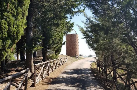 PINETA LA CAPPELLINA