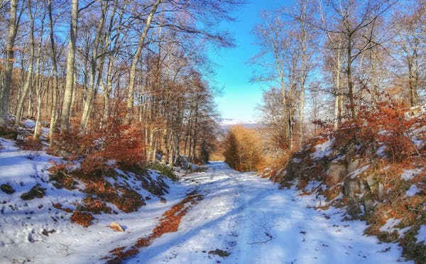 MONTAGNA DI CIVITANOVA DEL SANNIO