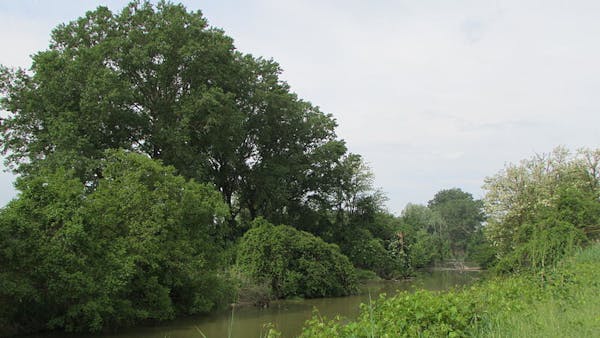 RISERVA NATURALE ORIENTATA PARMA MORTA