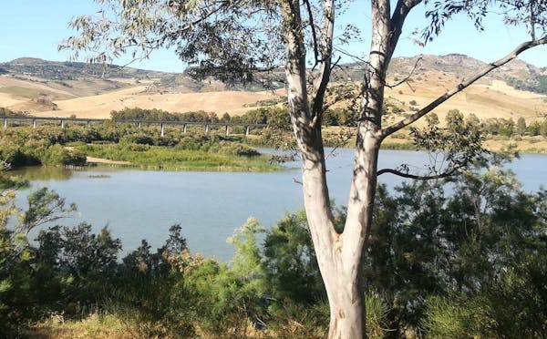 VALLE DEL MORELLO