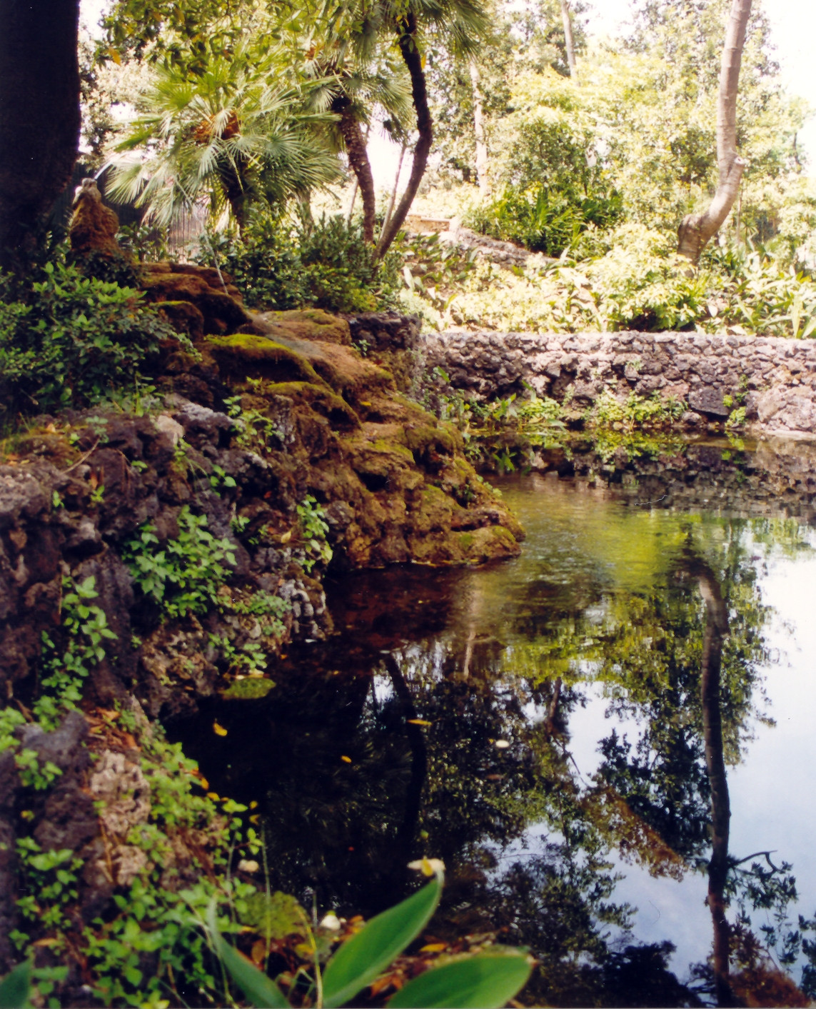 PARCO WENNER, VILLA COMUNALE DI SCAFATI