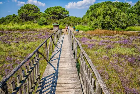 GIARDINO BOTANICO LITORANEO DI PORTO CALERI