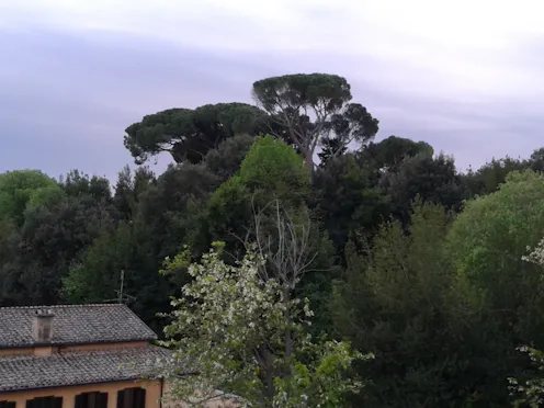 PARCO DI VILLA CHIGI