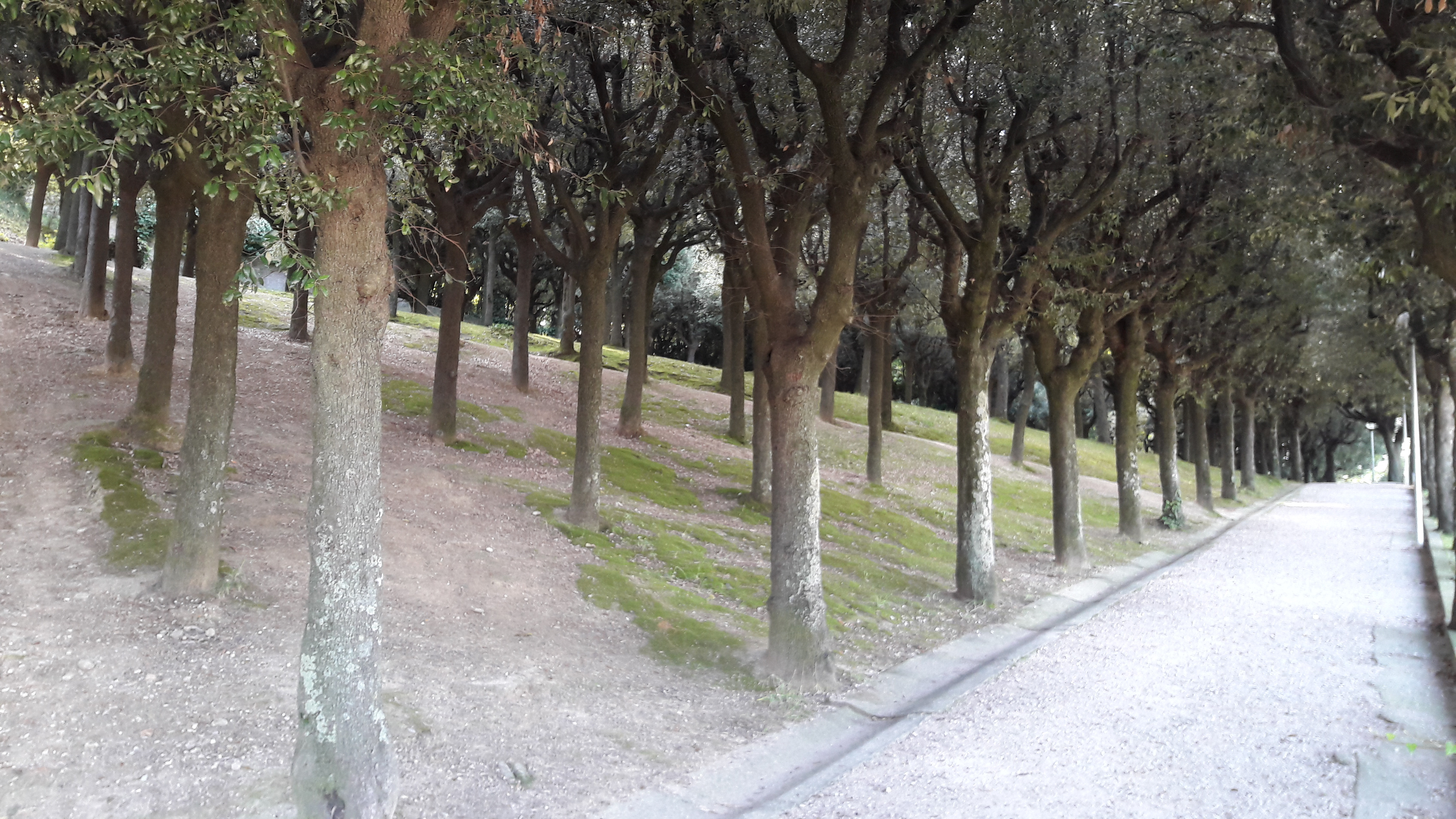 PARCO DELLE RIMEMBRANZE | I Luoghi Del Cuore - FAI