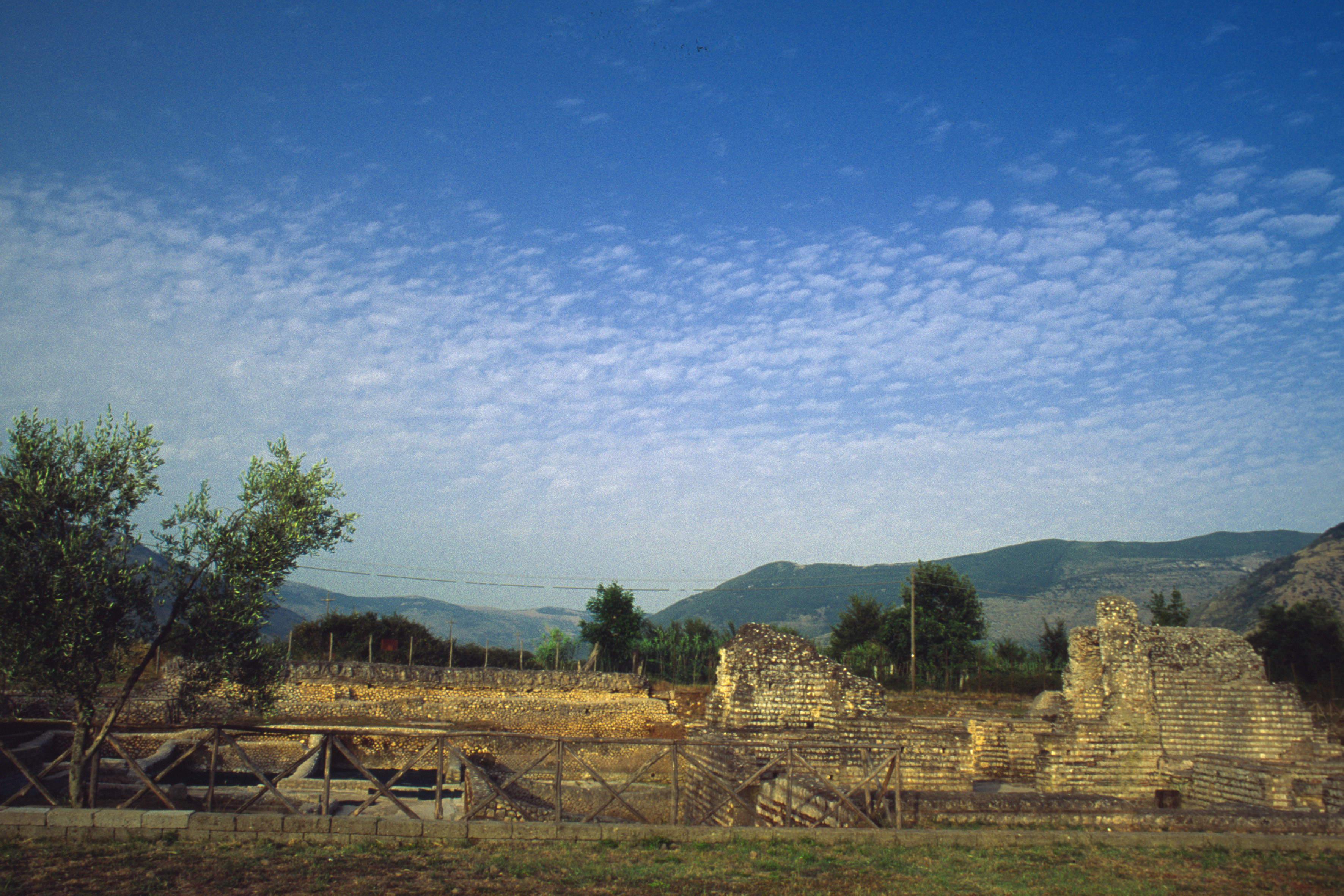 SCAVI ARCHEOLOGICI