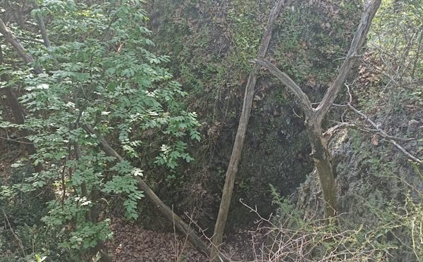PARCO DEI GESSI BOLOGNESI E CALANCHI DELL'ABBADESSA