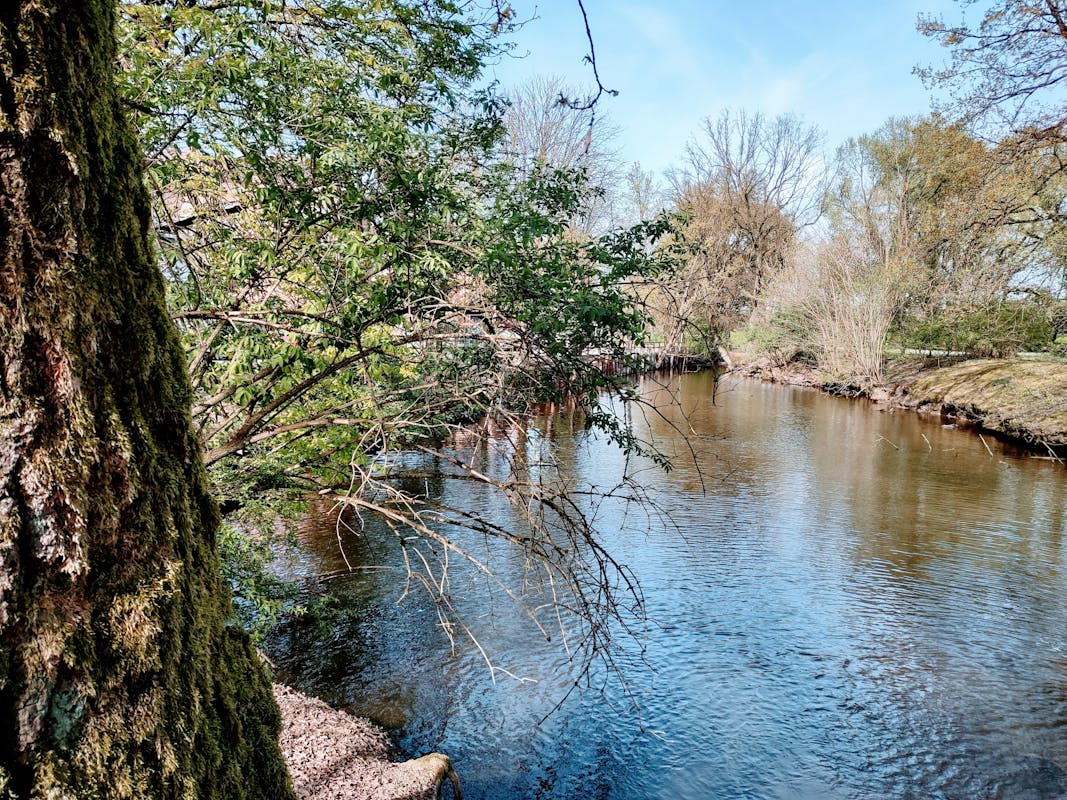 FONTANILE DEI FRATI FONTANILE DEI FRATI
