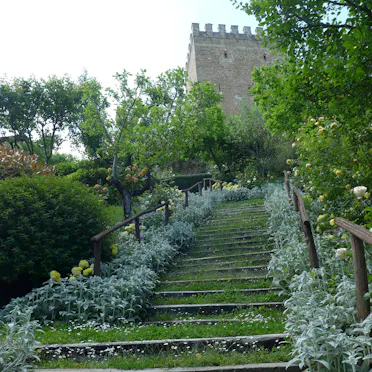 CASTELLO VITALINI