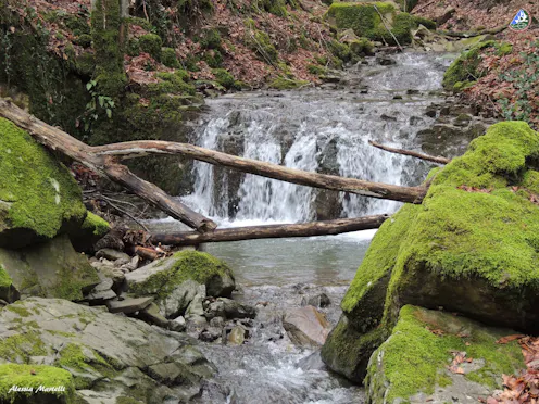 PARCO FAUNISTICO DEL MONTE AMIATA