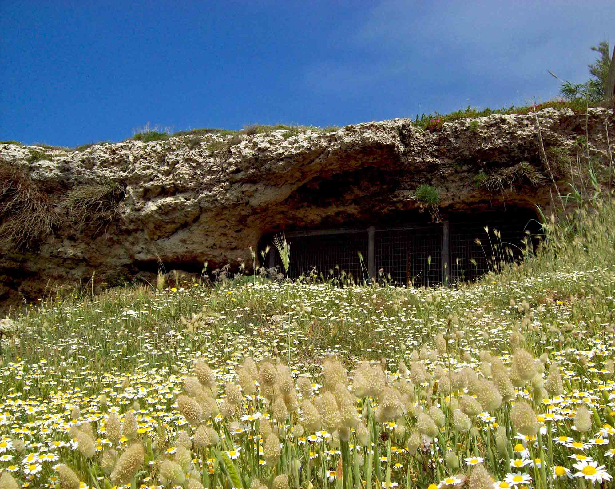 GROTTA PORCINARA