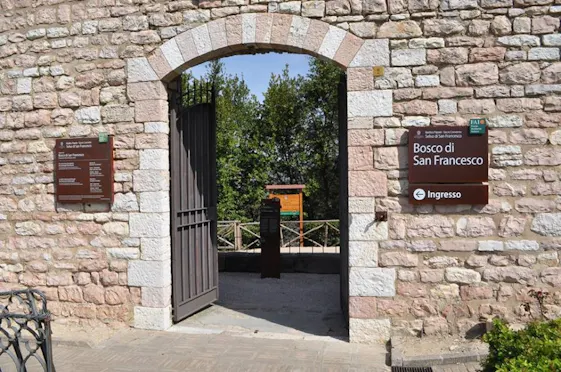 INGRESSO BOSCO