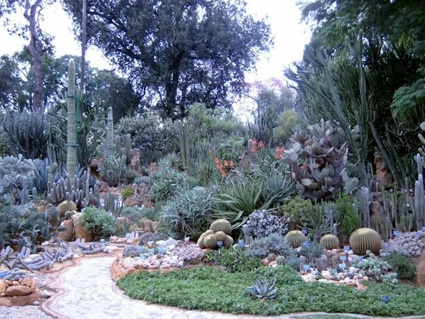 REAL ORTO BOTANICO I Luoghi del