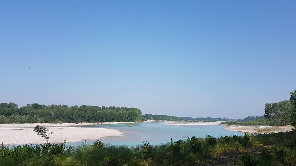 [Слика: 8acc8a23-fdc4-4867-928e-3604b601c06a.jpg...uto=format]