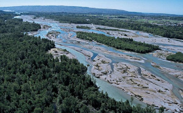 FIUME PIAVE E RELATIVO LETTO.