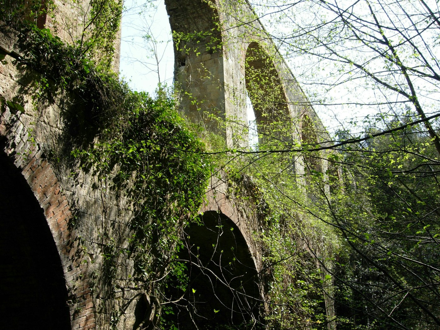 ACQUEDOTTO LEOPOLDINO I Luoghi del Cuore FAI