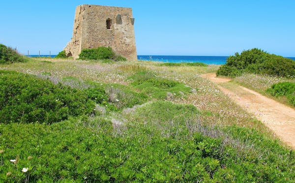 TORRE POZZELLE