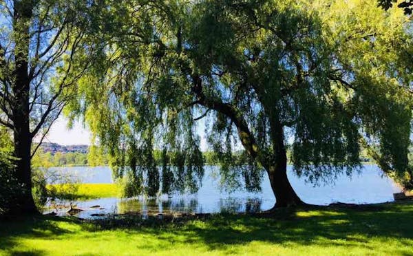 PARCO LUIGI ZANZI E LIDO DELLA SCHIRANNA