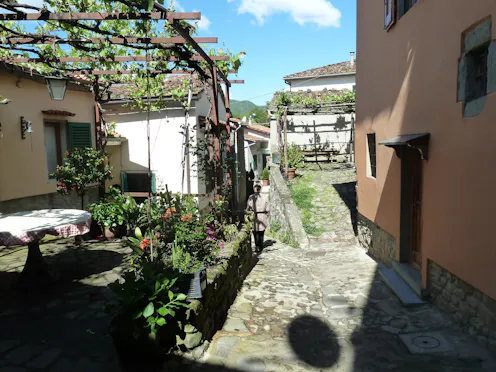 CASTAGNO DI PITECCIO