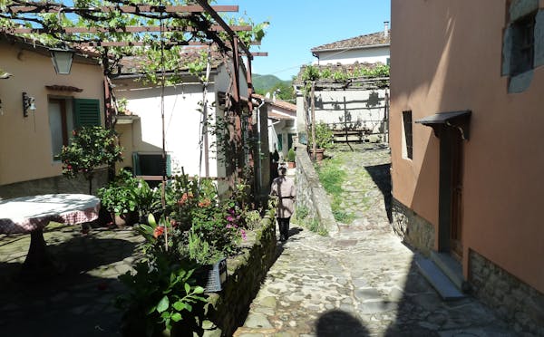 CASTAGNO DI PITECCIO