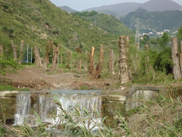 PARCO REGIONALE DEL CORVINO