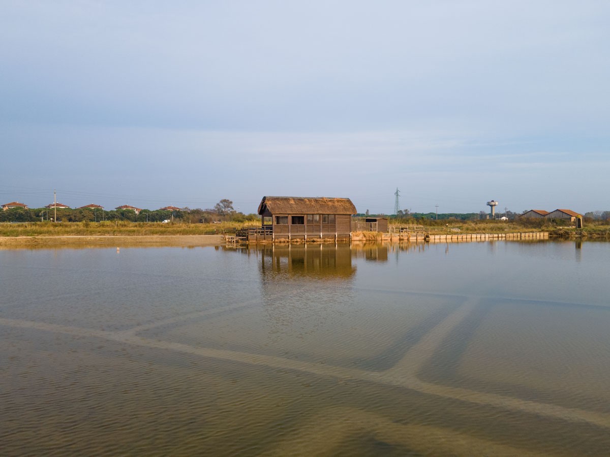 ANTICA SALINA CAMILLONE