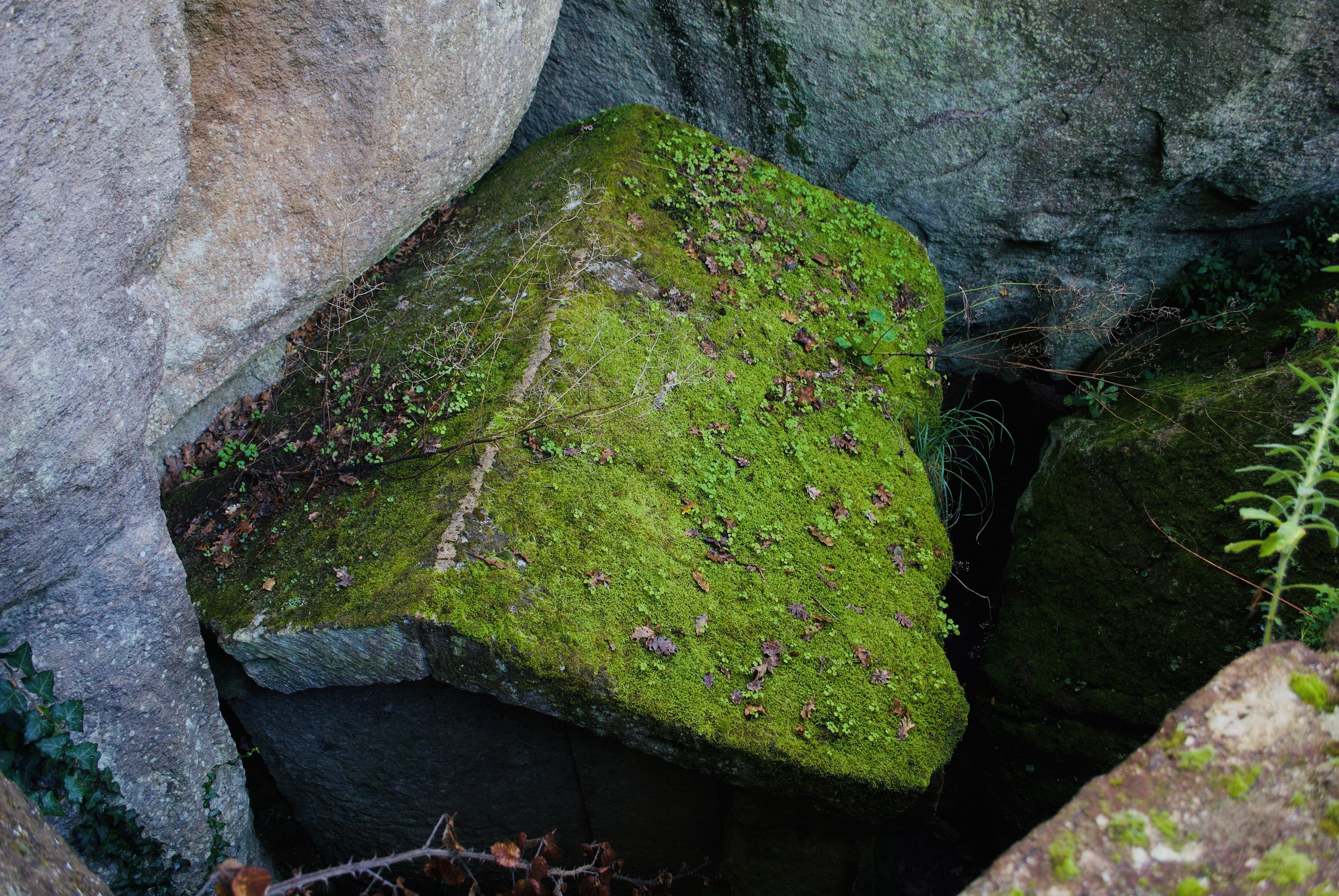 SANTUARIO RUPESTRE DI DEMETRA