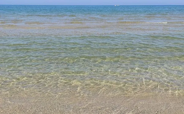 RISERVA NATURALE DEL BORSACCHIO