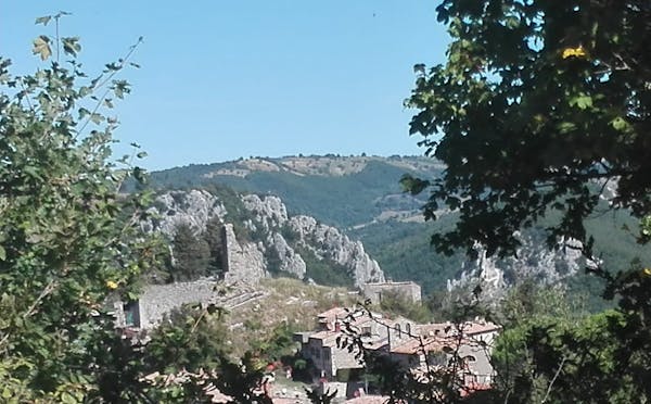 RISERVA NATURALE BOSCO DEI ROCCONI