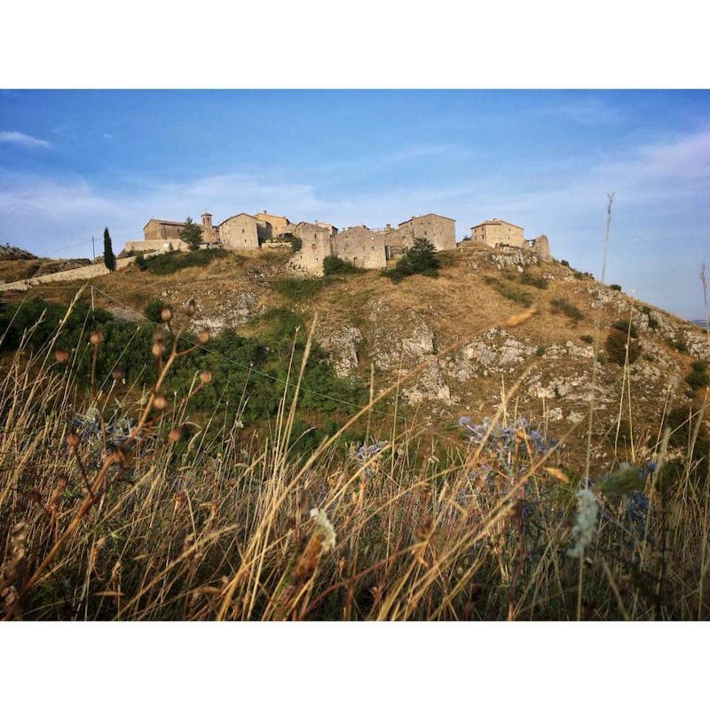 BOSCO DI CANFAITO BOSCO DI CANFAITO