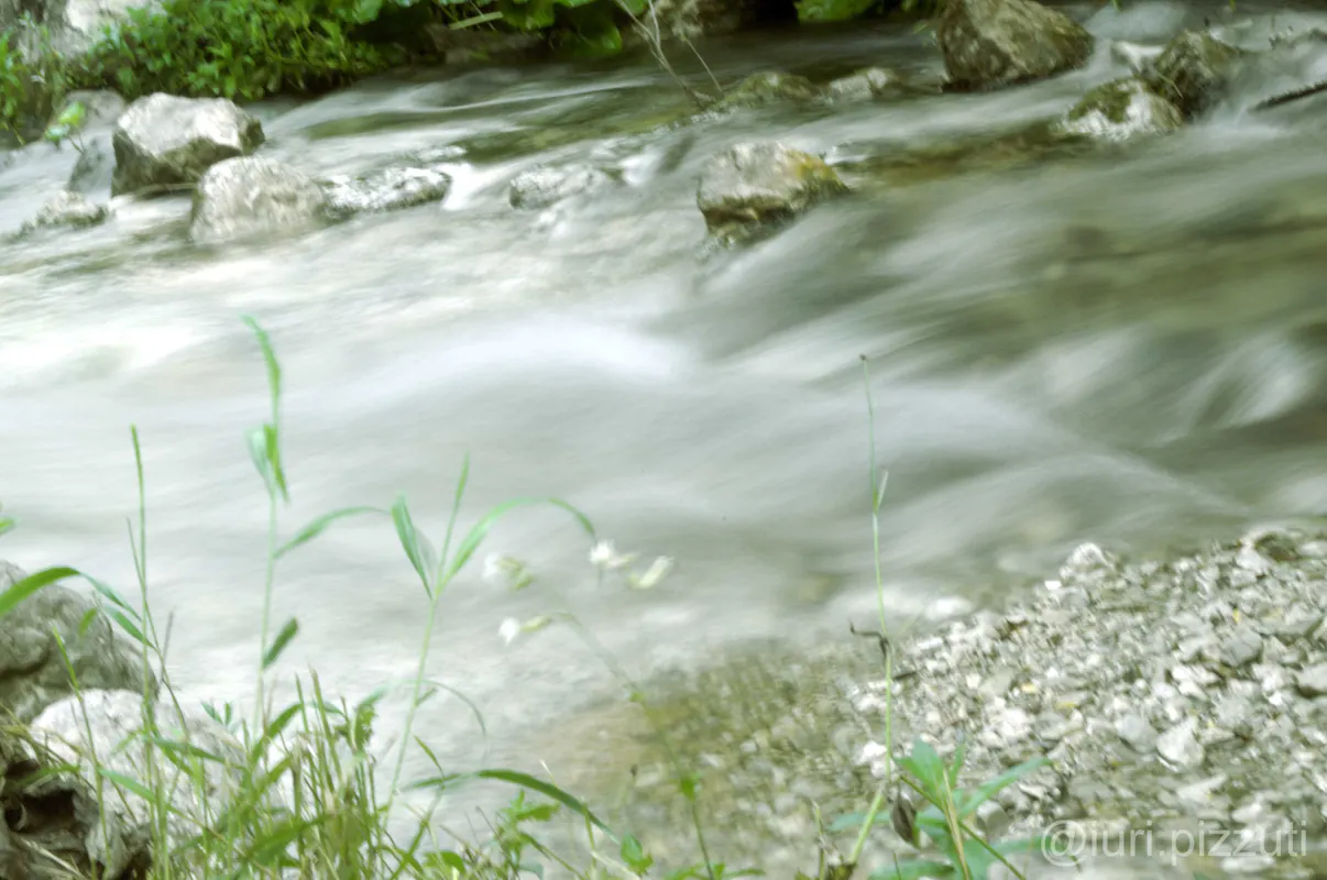 FIUME CARPINO FIUME CARPINO