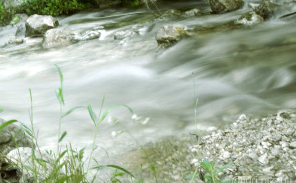 FIUME CARPINO