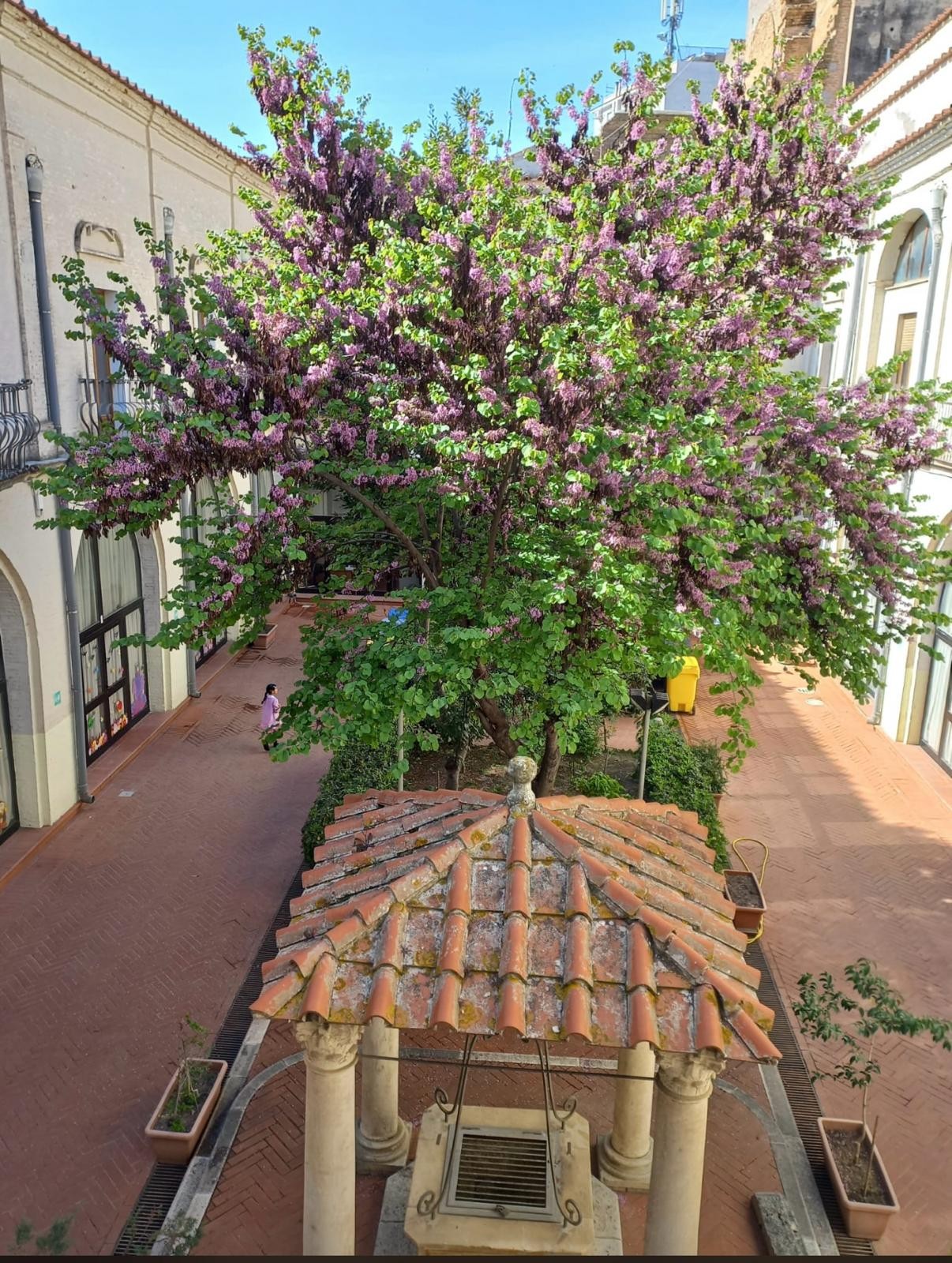 PLESSO SCUOLA PRIMARIA S.BENEDETTO EX CONVENTO BENEDETTINE