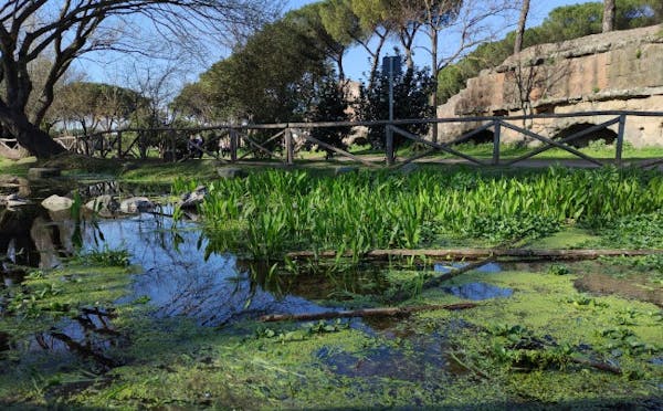 IL LAGHETTO DEL PARCO DEGLI ACQUEDOTTI