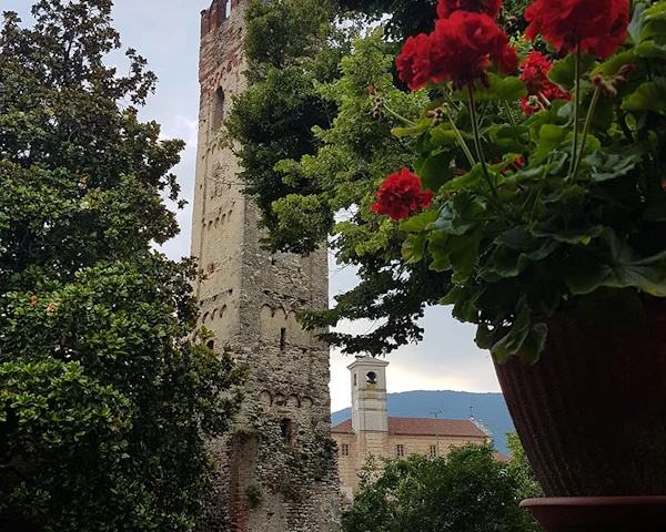 CASTELLO E PARCO DI REANO | I Luoghi del Cuore - FAI