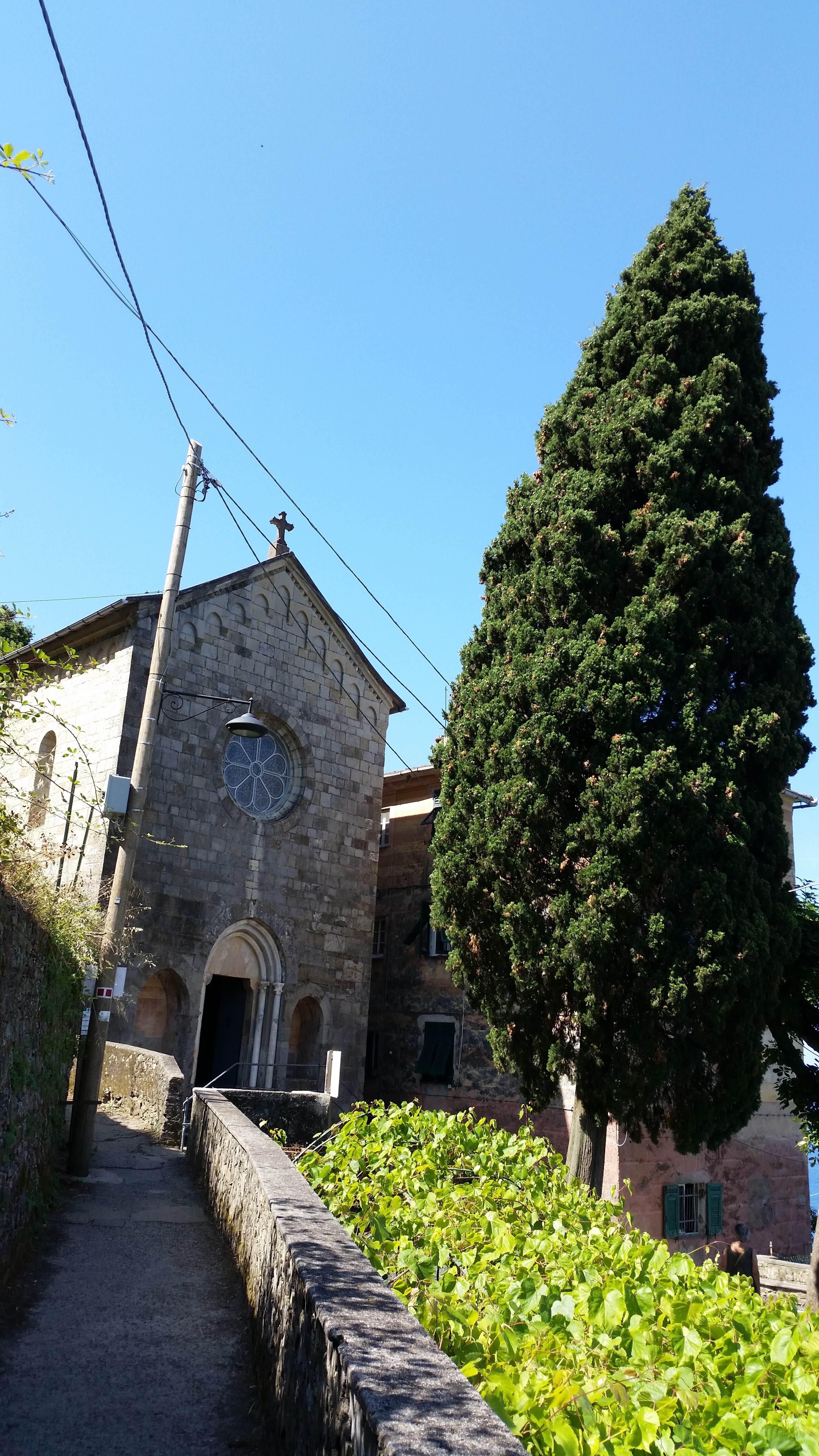SENTIERO SCALINATA SAN ROCCO DI CAMOGLI - PUNTA CHIAPPA