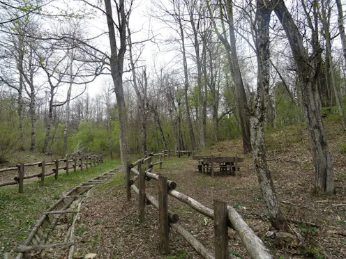 PARCO NATURALE DEL MONTE MORIA